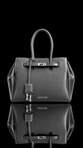 ASH CIA™ BAG